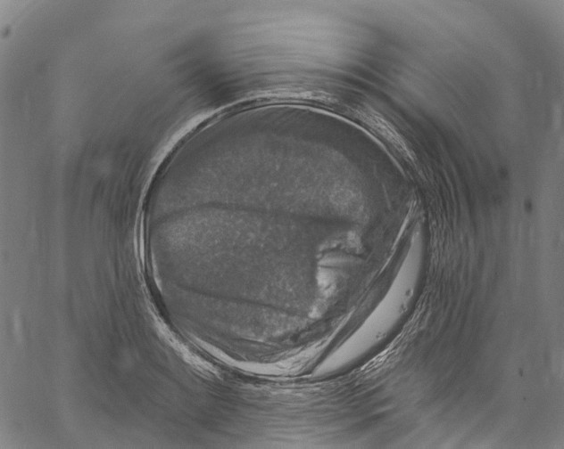 X0000061151084200512161549