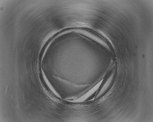 X0000061151085200512161549