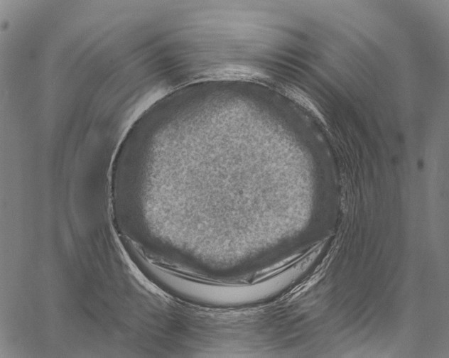 X0000061151087200512161549