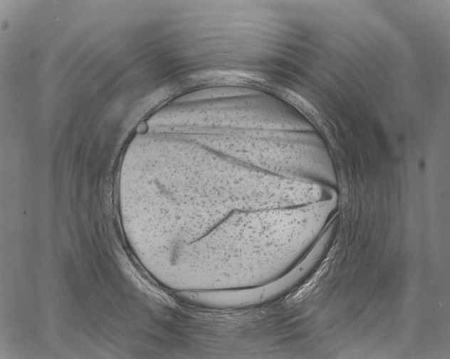 X0000061151090200512161549