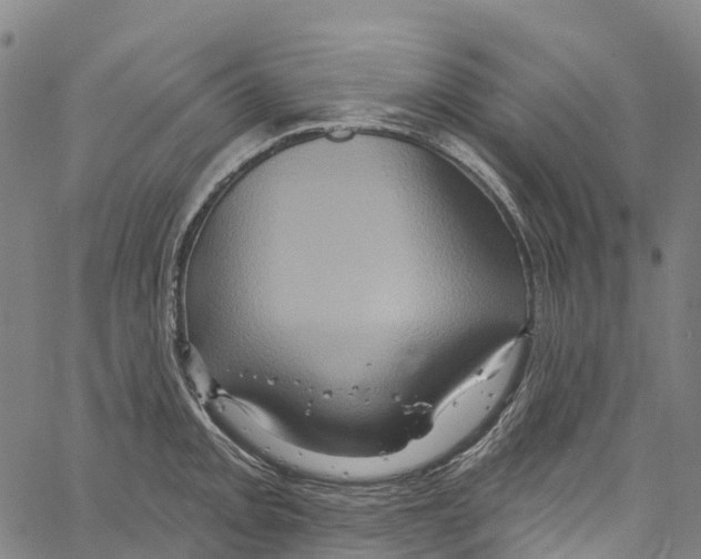 X0000061151093200512161549