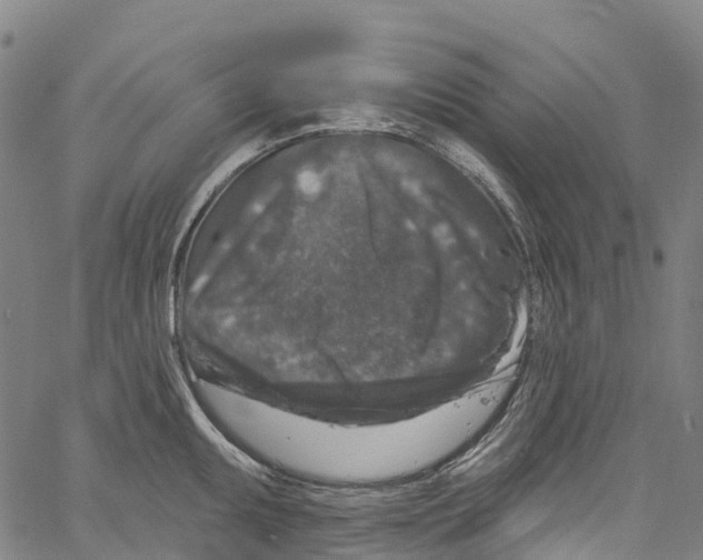 X0000061151095200512161549