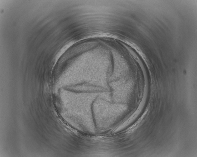 X0000061151097200512161549