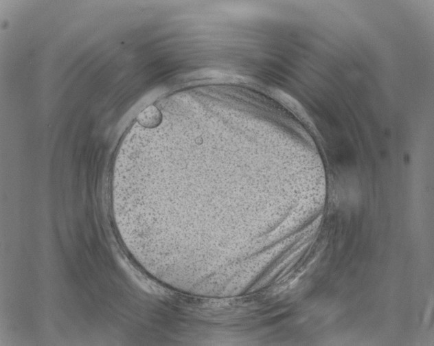 X0000061151098200512161549