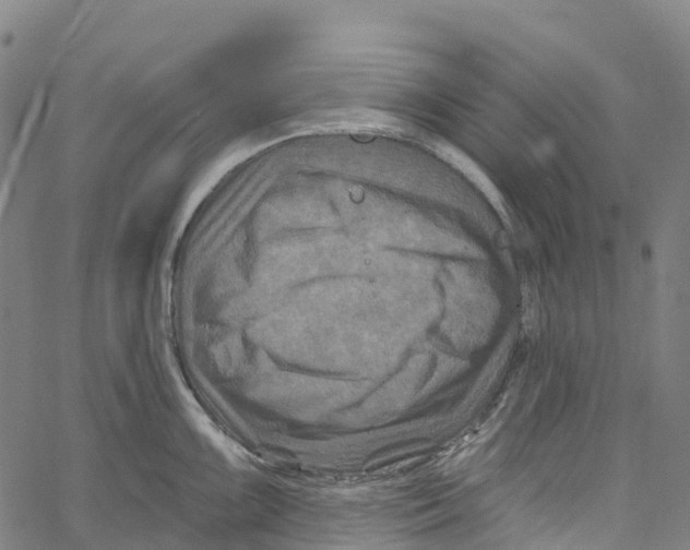 X0000061151099200512161549