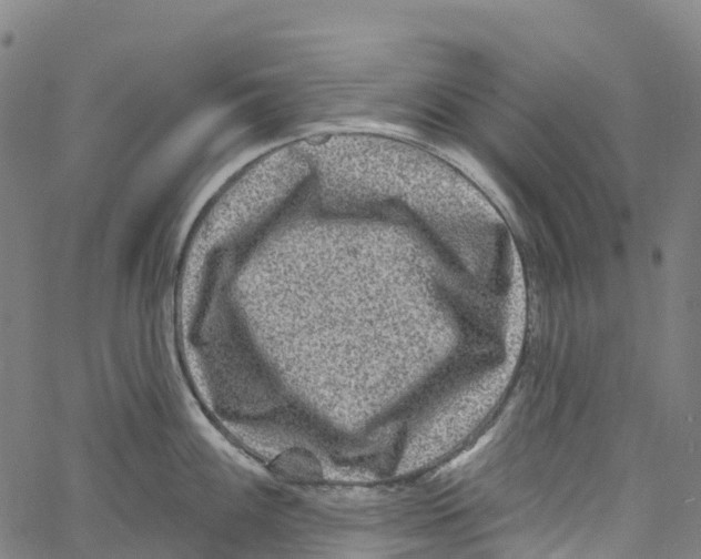 X0000061151100200512161549