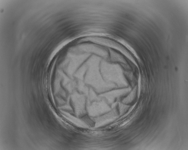 X0000061151101200512161549