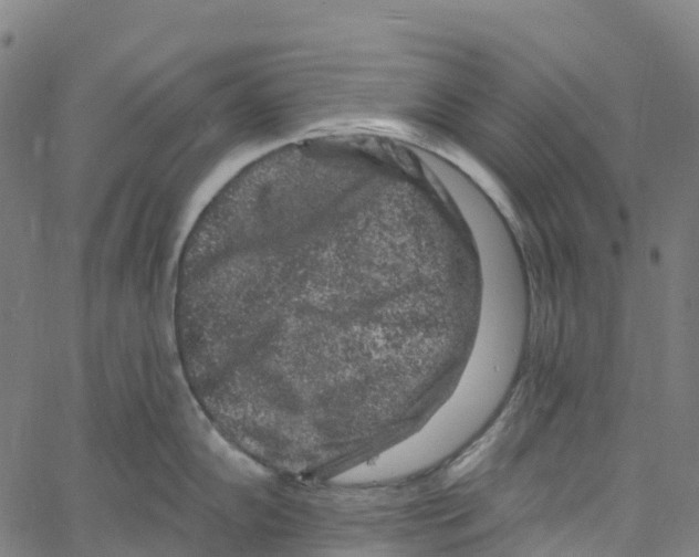 X0000061151102200512161549