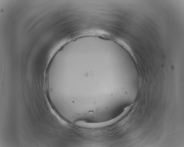 X0000061151103200512161549