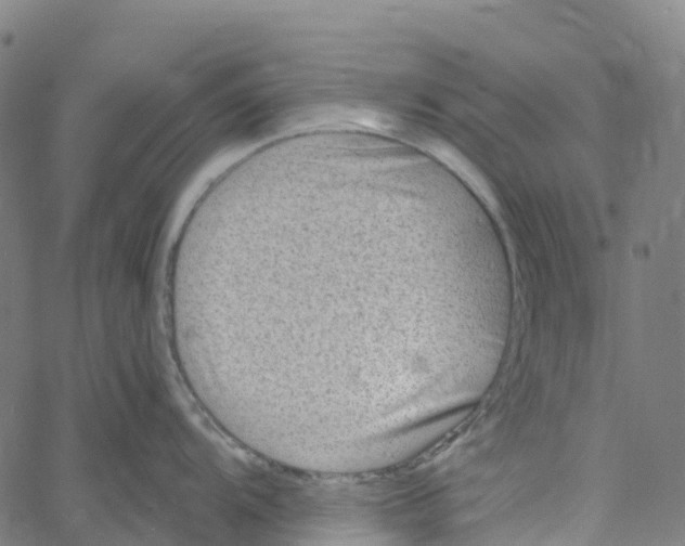 X0000061151104200512161549