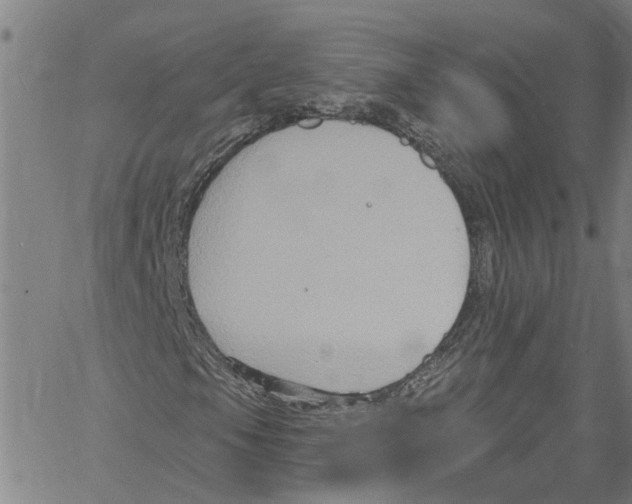 X0000061151105200512161548