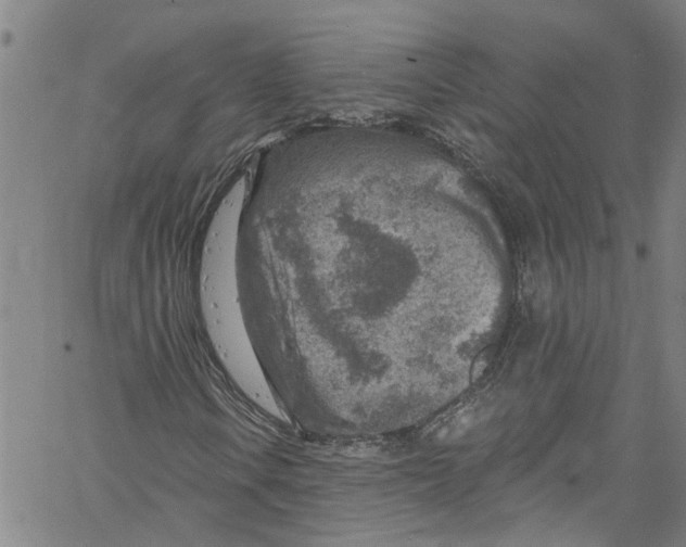 X0000061151106200512161548