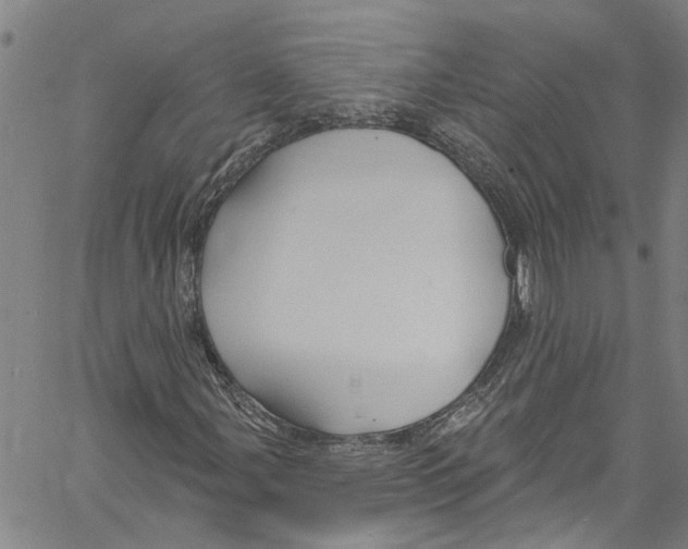 X0000061151107200512161548