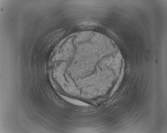 X0000061151108200512161548