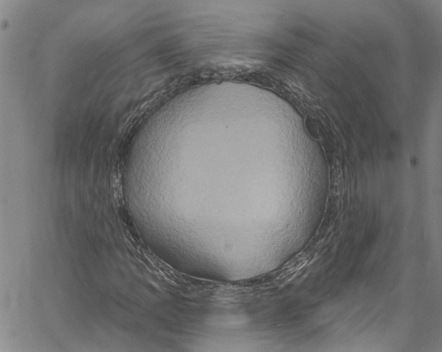 X0000061151109200512161548