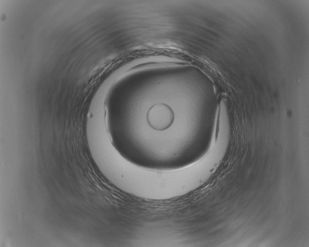 X0000061151110200512161548