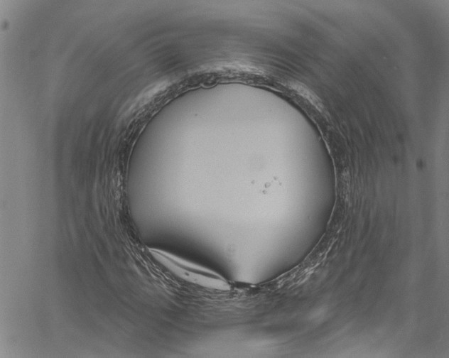 X0000061151111200512161548