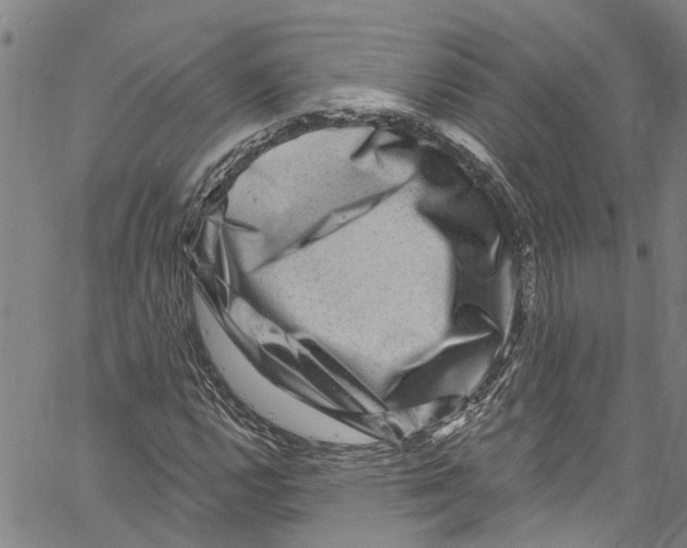 X0000061151112200512161548