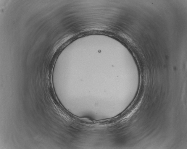 X0000061151113200512161548