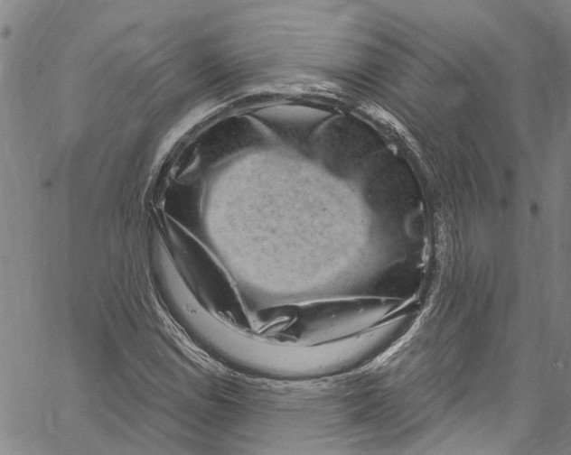 X0000061151114200512161548