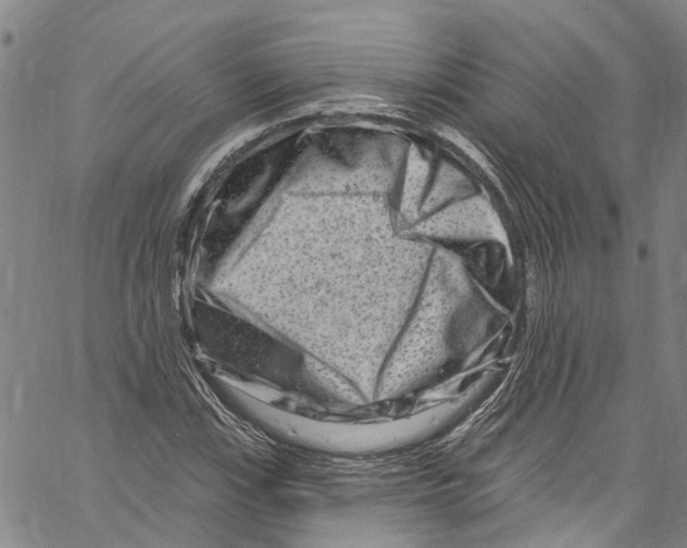 X0000061151115200512161548