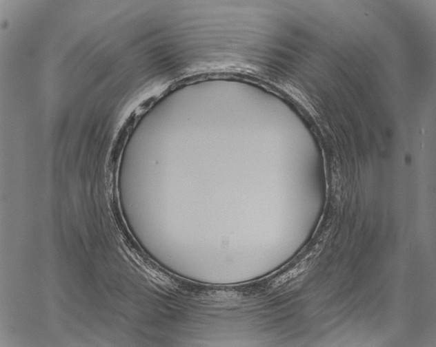 X0000061151119200512161548