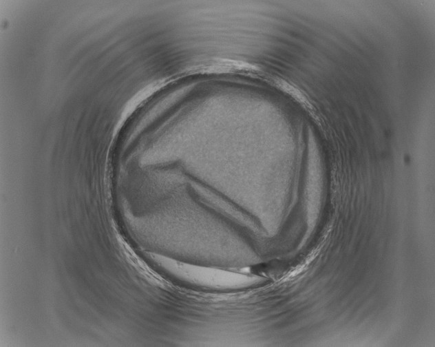 X0000061151122200512161548