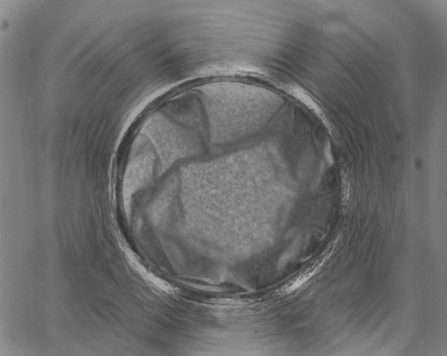 X0000061151124200512161548