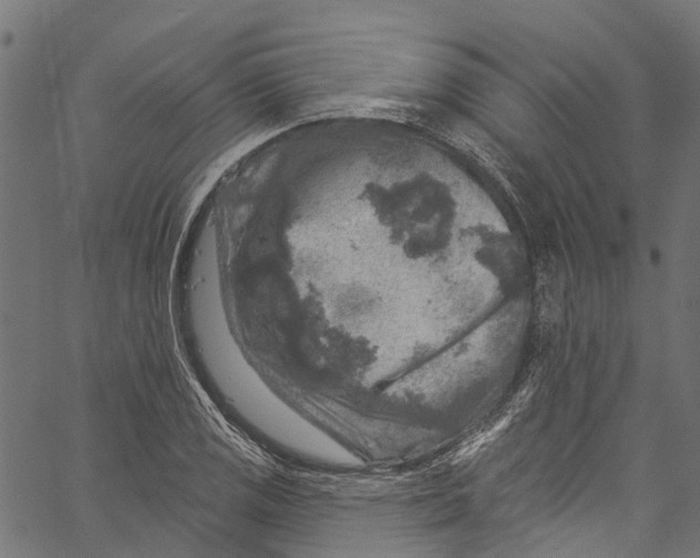 X0000061151125200512161548