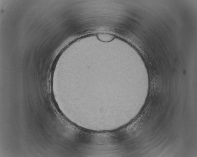 X0000061151126200512161548