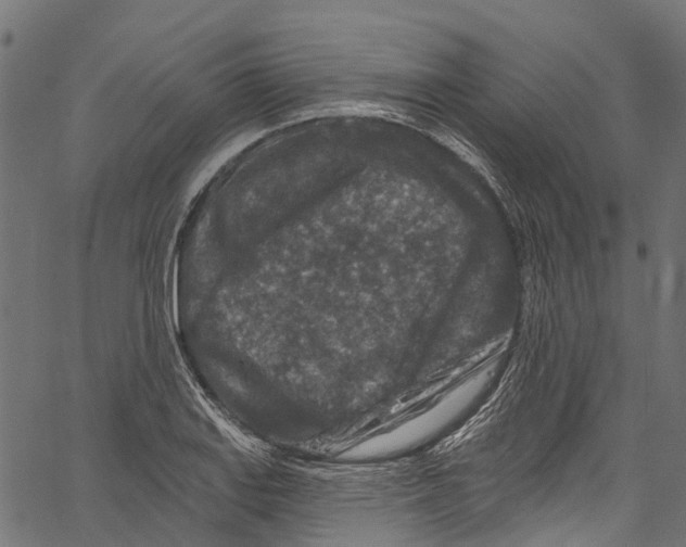 X0000061151127200512161548