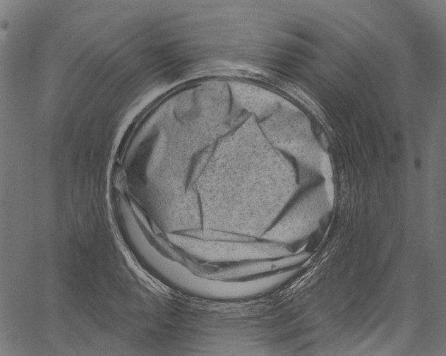 X0000061151128200512161548