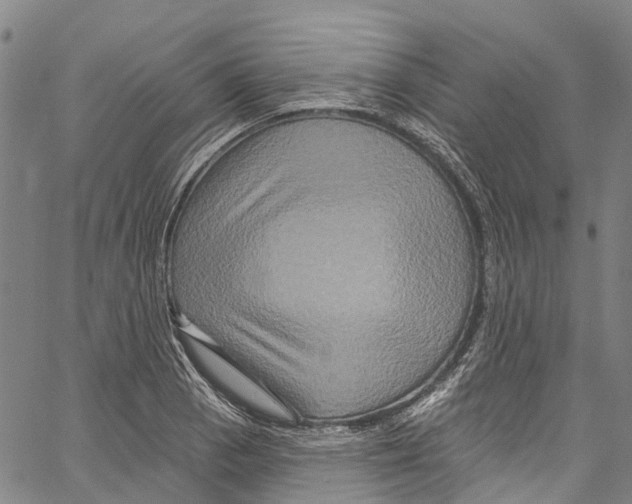 X0000061151129200512161549