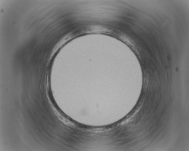 X0000061151130200512161549