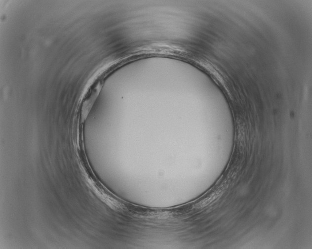 X0000061151131200512161549