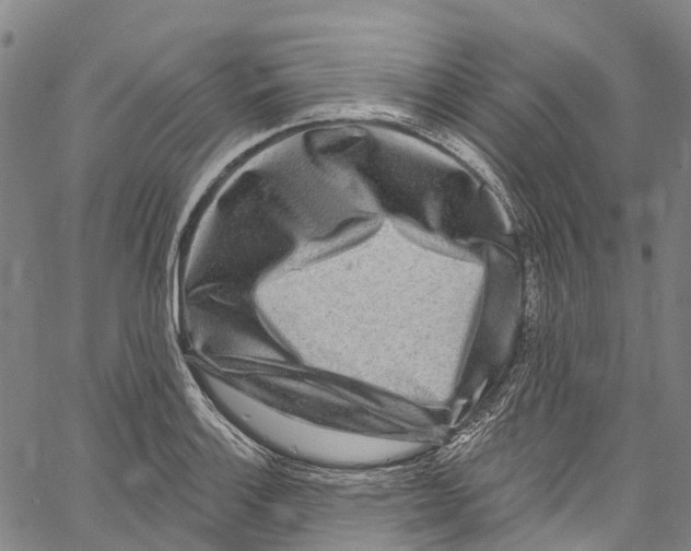 X0000061151132200512161549