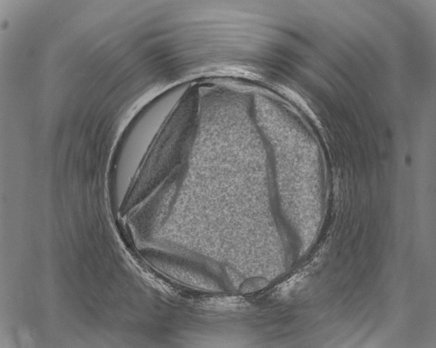 X0000061151133200512161549