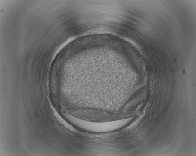 X0000061151134200512161549