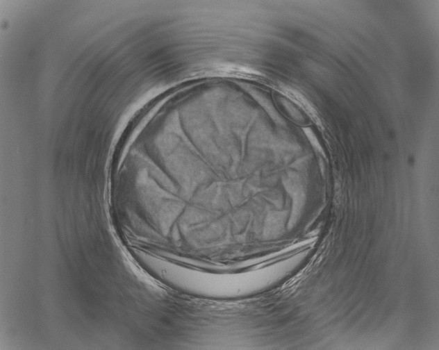 X0000061151136200512161549