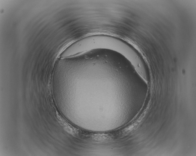 X0000061151137200512161549