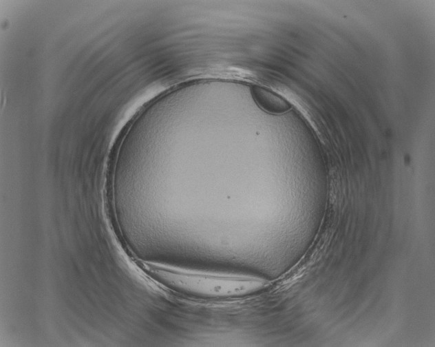 X0000061151139200512161549