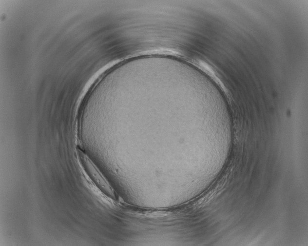 X0000061151140200512161549