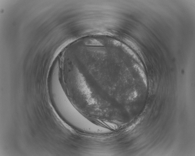 X0000061151141200512161549