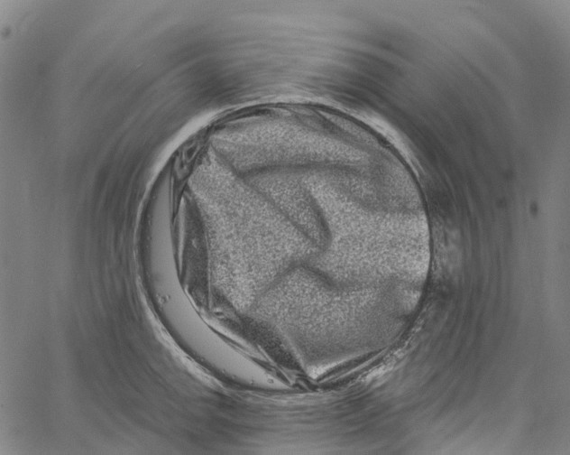 X0000061151142200512161549