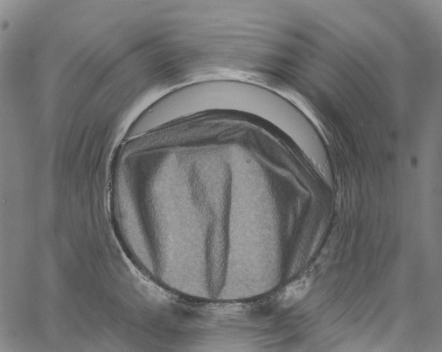 X0000061151143200512161549