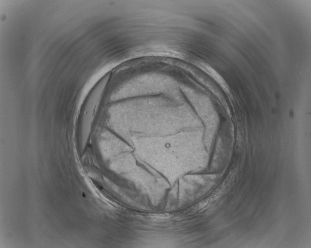 X0000061151144200512161549