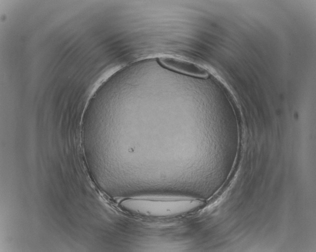 X0000061151145200512161549