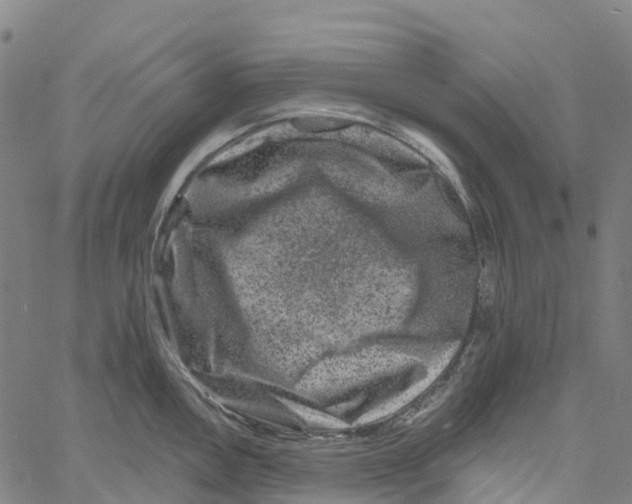 X0000061151146200512161549