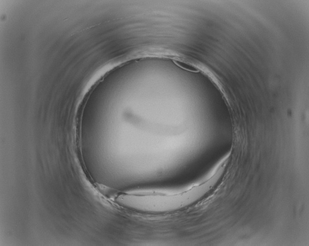 X0000061151147200512161549