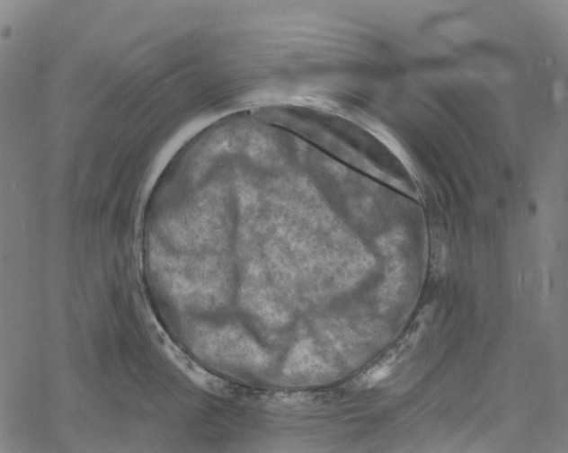 X0000061151148200512161549